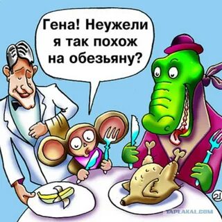 Смешные анекдоты про крокодила гену