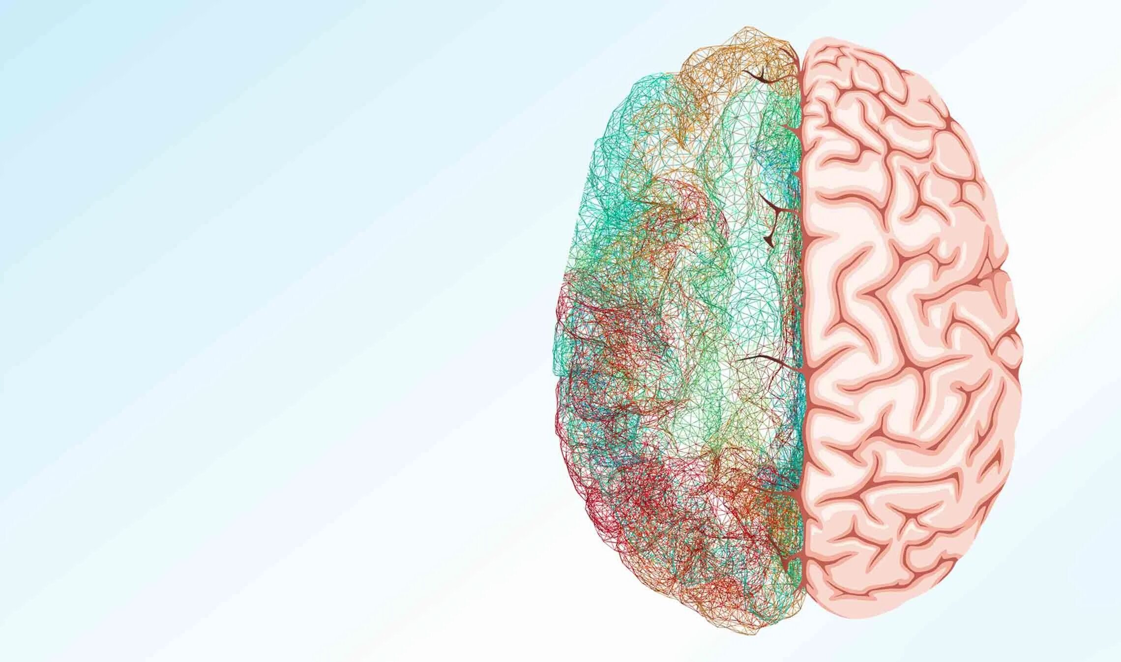 Слизь фон. Мозгу слизь. Слайм геншин. Мозгу слизь. Gyrus cinguli анатомия.