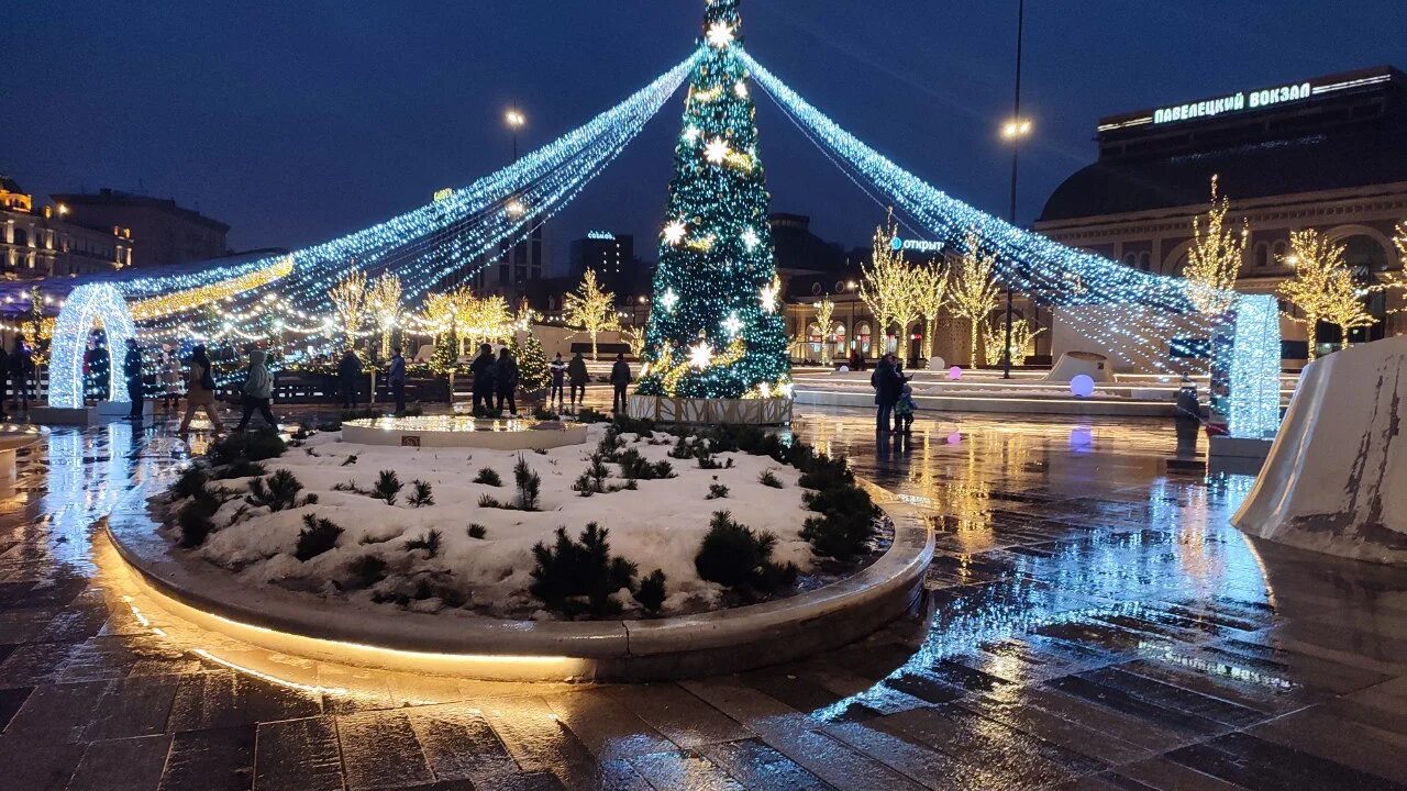 Куда сходить погулять на новый год. Елка в москве. зарядье новый год. куда сходить в москве зимой. елка в зарядье.