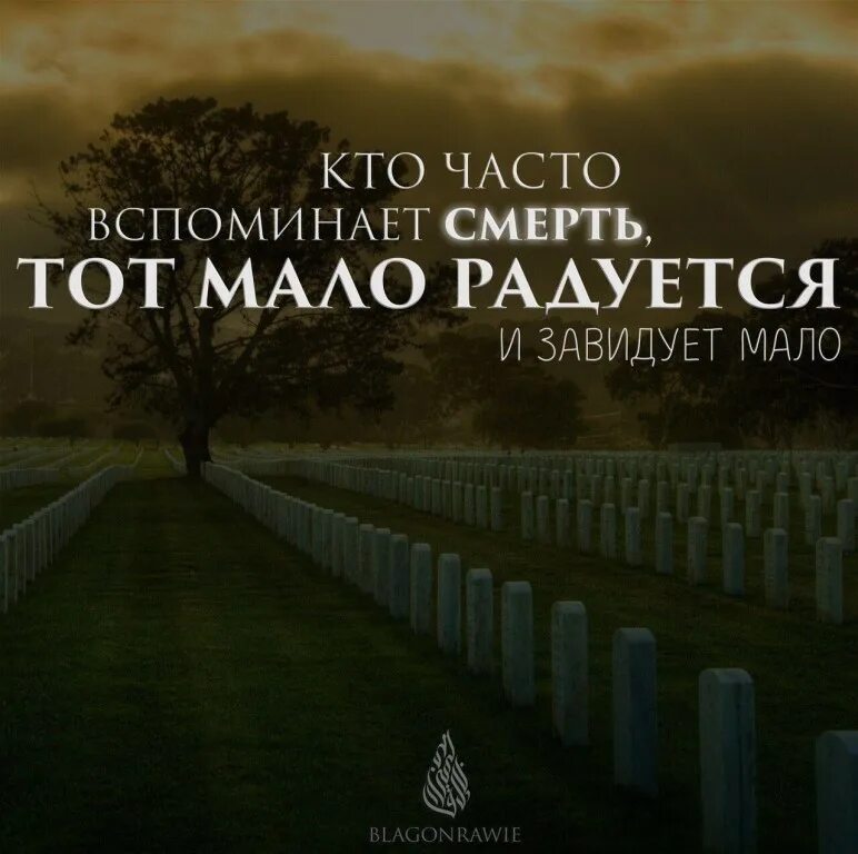 Цитаты про ислам. Молитва про родителей мусульман. Мусульманские цитаты про смерть. Смерть в исламе хадисы. Хадис про умершего.