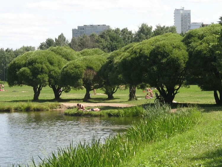Город тамбов покровский пруд. Покровский пруд в чертаново. Покровское стрешнево пруды. Покровский пруд в чертаново. Покровский парк в чертаново южное.
