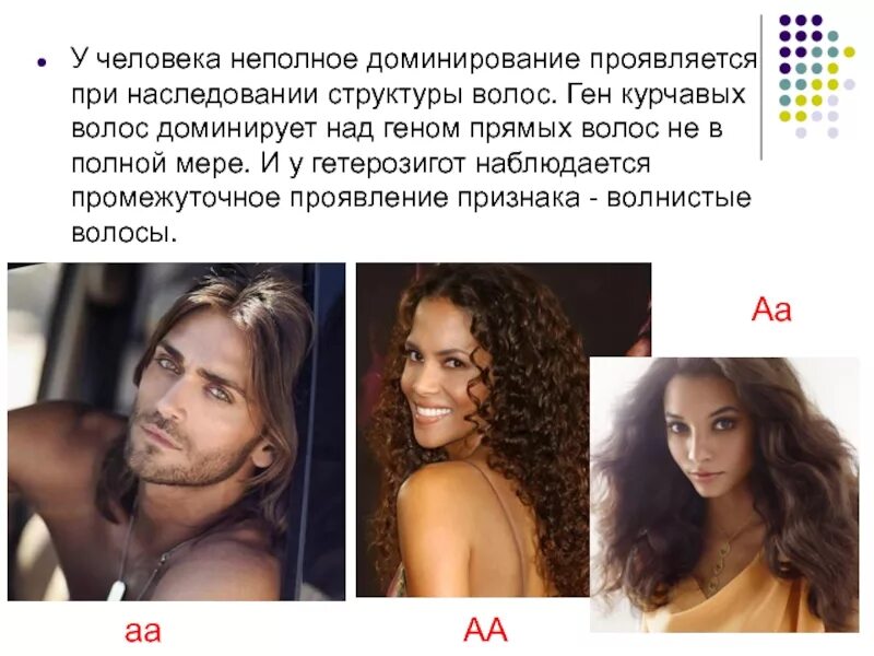 Неполное доминирование признаков у человека. Неполное доминирование примеры. неполное доминирование примеры у человека. пример не полнгого домини рования. наследование структуры волос у человека.