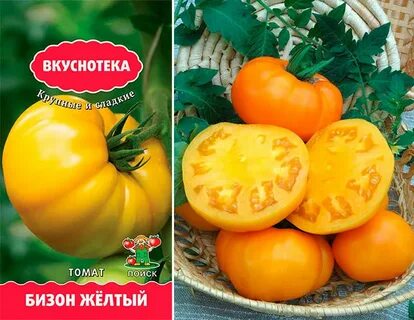 Сорт розовый бизон