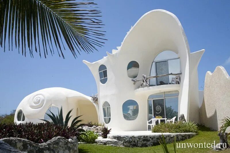 Conch Shell House (Исла-Мухерес, Мексика). Исла Мухерес дом Ракушка. Conch Shell House (Мексика). Дом Наутилус в Мексике. Вилла ракушка