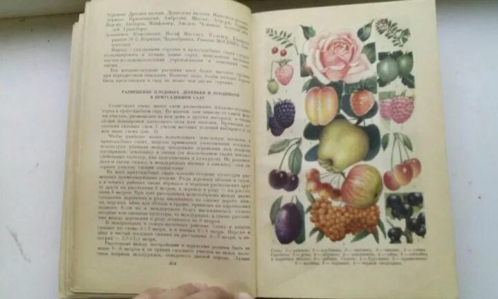 Домоводство 7 класс 2 вариант рабочая программа. Книга домоводство 1958. рецепты из книги домоводство. книжка домоводство 1956 год. книга домоводство ссср.