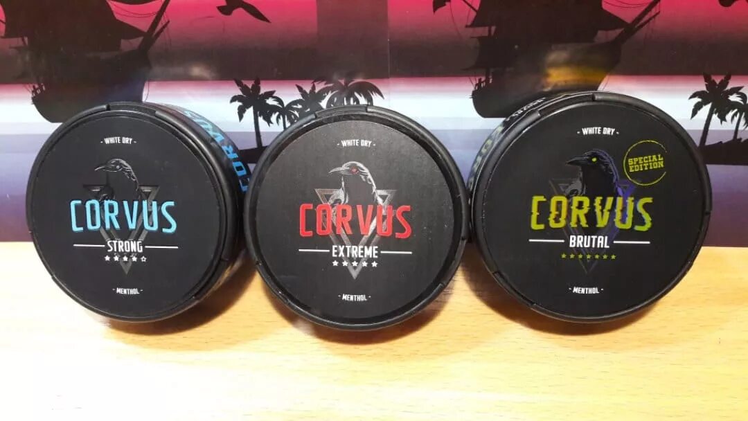 Корвус сколько никотина. Снюс corvus red. Черный corvus снюс. Корвус сколько никотина. Снюс корвус красный.