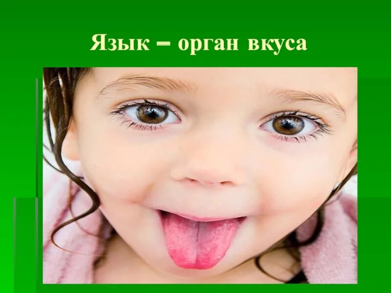Доклад о вкусе. Язык орган вкуса рисунок. Сообщение об органе чувств. Доклад про язык орган чувств. Вкус презентация 4 класс школа 21 века.