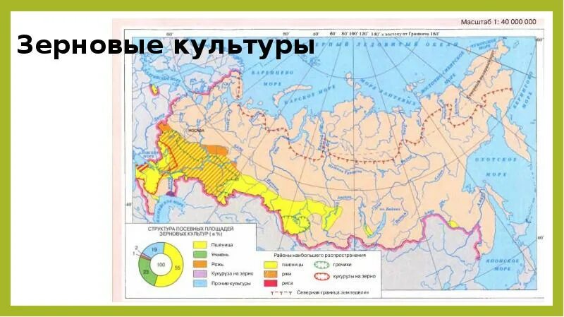 Районы выращивания на карте. Зерновые культуры России карта. Распространение зерновых культур в России карта. Основные районы возделывания зерновых культур. Карта выращивания зерновых культур России.