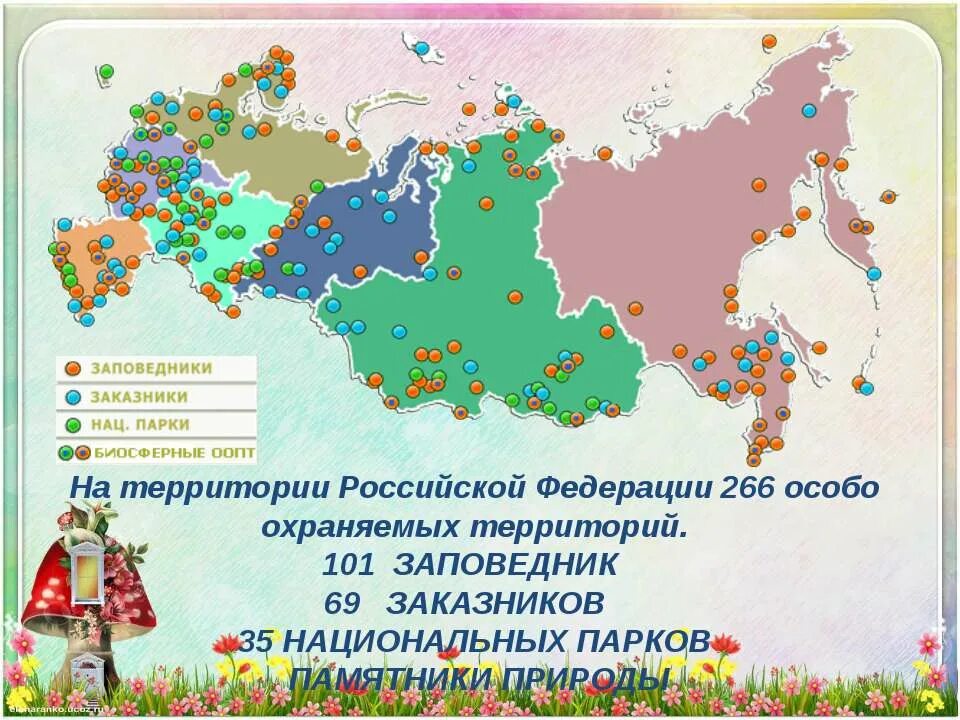 Название заповедников расположенных в зоне