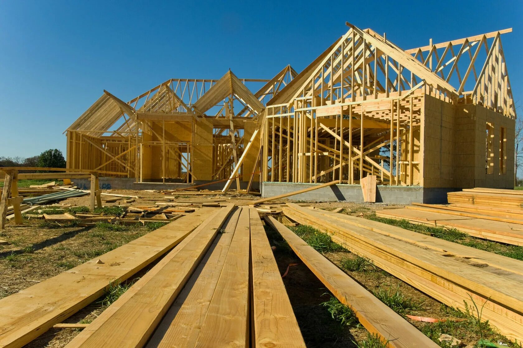 Дерево на крыше. Дома каркасные новые технологии. Стройка. Стройка крыши. Строющий дом.