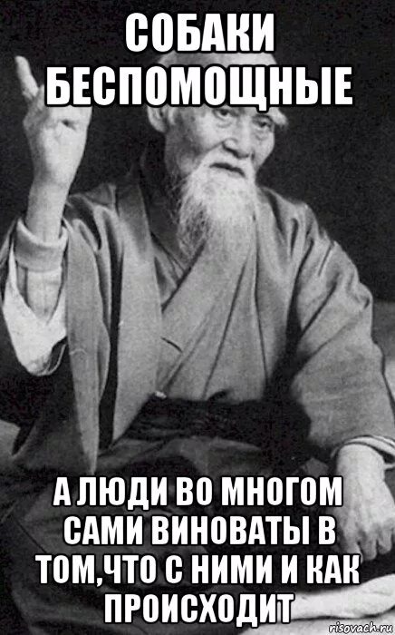 Не видел нормальных девушек