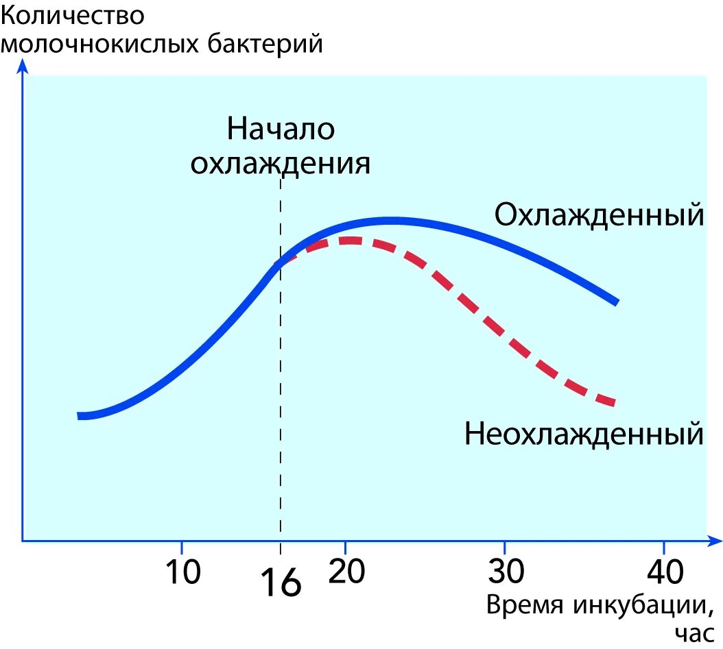 Молочнокислые бактерии при какой температуре. Размножение молочнокислых бактерий в зависимости от температуры. Рост микроорганизмов закваски. Зависимость роста бактерий от температуры. График молоко.