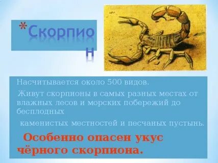 Укус скорпиона