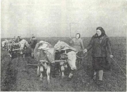 Большевистские колхозы