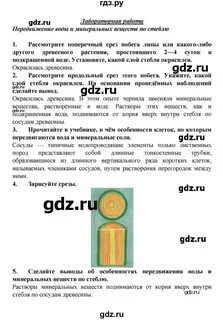 Почему вода непрерывно поднимается вверх по стеблю