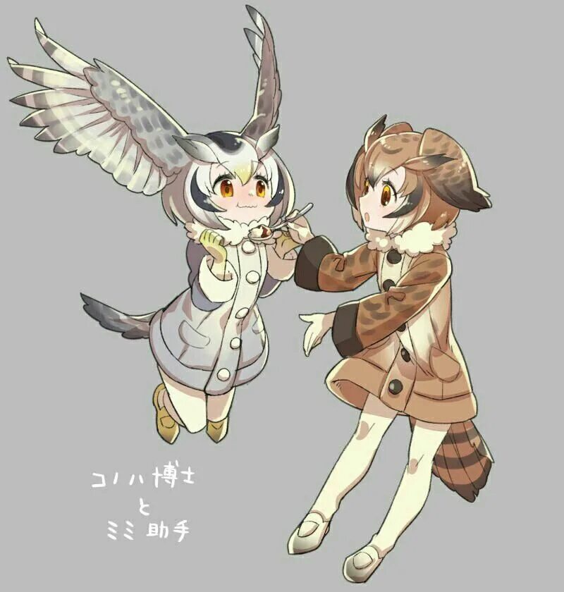 Kemono friends Совы. Kemono friends Owl арт. Kemono friends фурри. Хуманизация Совы. Furrier kemono