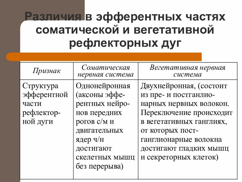 Отличия соматической и вегетативной рефлекторных дуг. Различия между соматической и вегетативной рефлекторных дуг. Соматическая и вегетативная рефлекторная дуга отличия. Вегетативная и соматическая рефлекторная дуга различия.