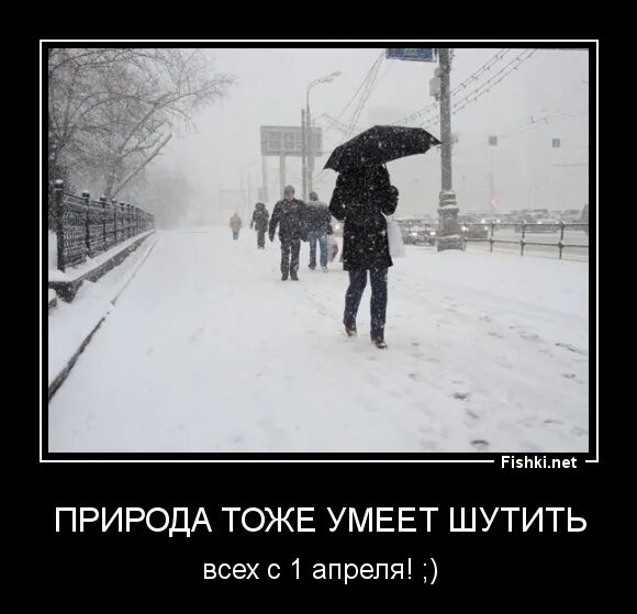 Приколы про автолюбителей. Картинки на автомобильную тематику прикольные. И дай вам бог того вдвойне чего желаете вы мне картинки. Тоже не умеет. Это все на что ты способен.