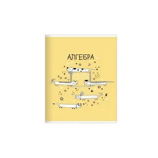 Общая алгебра