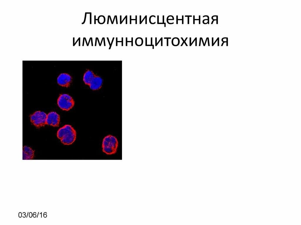 Повышение ретикулоцитов в крови. Флуоресцентная Проточная цитометрия ретикулоцитов. Флуоресцирующие ретикулоциты. Флуоресценция ретикулоцитов. Флуоресцентная окраска ретикулоцитов.