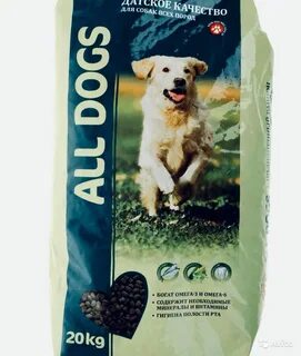 Dog 20