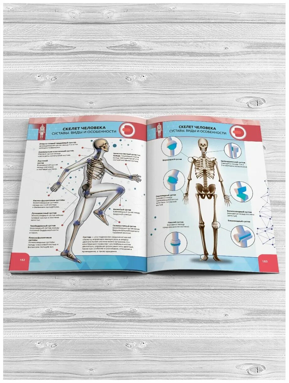 большая энциклопедия devar в дополненной реальности, 256 стр. большая энциклопедия в дополненной. в. мою первую большую энциклопедию в дополненной реальности от devar. большая энциклопедия в дополненной.