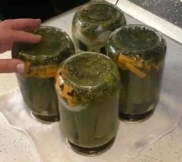 Огурцы на зиму болгария отдыхает рецепт