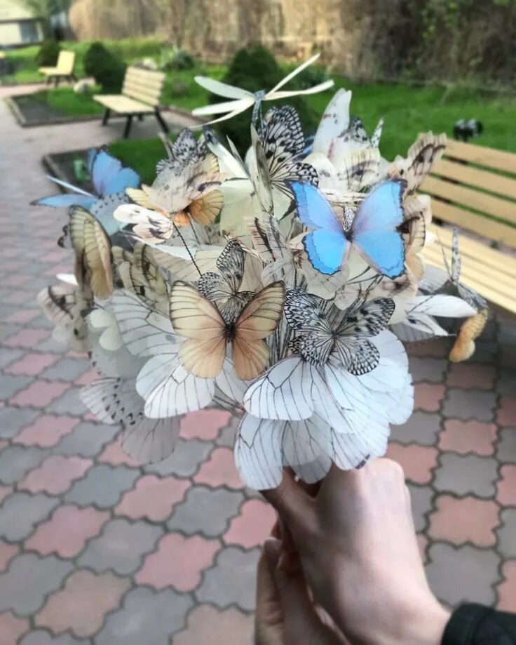 Букет из бабочек. Необычные букеты с бабочками. Букет с бабочками живыми. Букетик из бабочек.