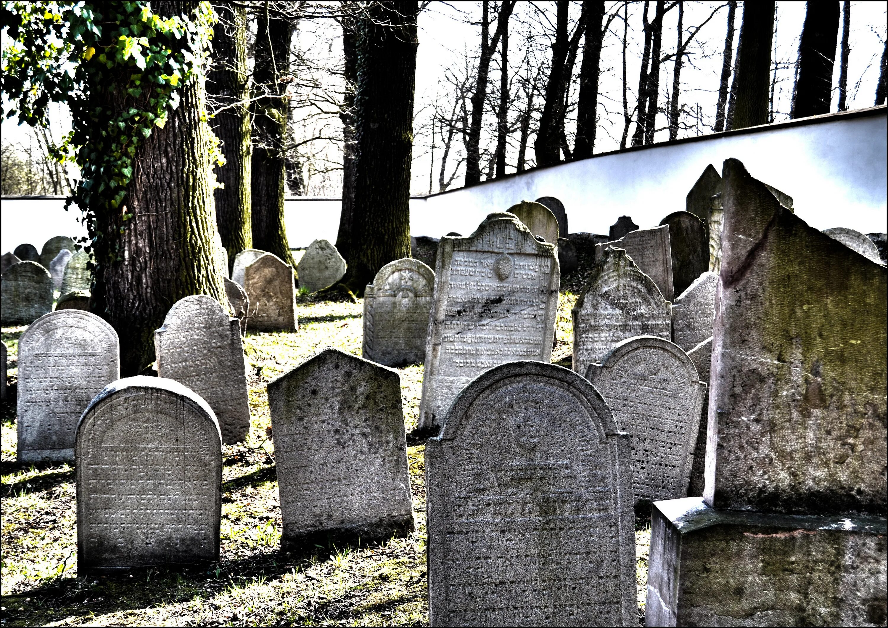 Кладбище. Средневековое кладбище. Камень на кладбище. Могильная плита. Могильные муки