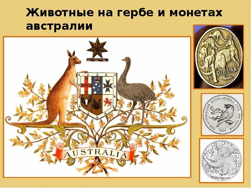 Какое животное изображено на логотипе