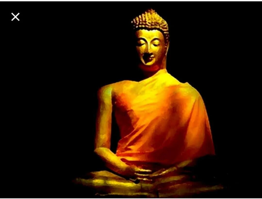 Буда гришна. Будда Гаутама. Сиддхартха Гаутама Будда статуя. Будда Шакьямуни фото. Og Buda Будда.