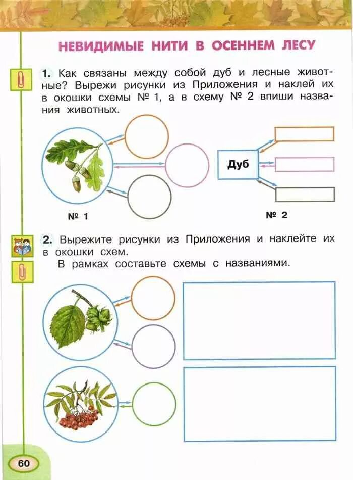 Окружающий мир рабочая тетрадь 1 стр 13. Окружающий мир рабочая тетрадь 1 2 класс плешаков невидимые нити. невидимые нити окружающий мир 2 класс плешаков рабочая. окружающий мир рабочая тетрадь 1 часть плешаков стр 12. невидимые нити окружающий мир 2 класс плешаков рабочая тетрадь.