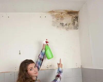 В ванной комнате на стене плесень