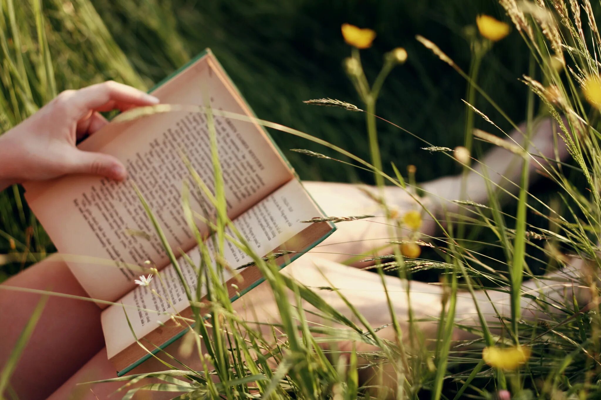 Пословицы о книге и чтении. Раскрытая книга. Цитаты про книги. Девушка с книгой. Библия о счастливом браке.