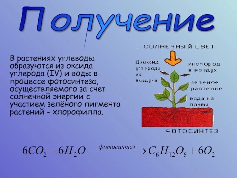 3 стадии фотосинтеза. Выделение углекислого газа растениями. Хлорофилл схема фотосинтеза. Источником углерода для фотосинтеза является. Источником углерода для фотосинтеза является.