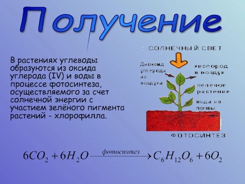 Углерод в растениях. Фотосинтез углеводов в растениях. Углерод образуется в процессе. В процессе фотосинтеза образуются углеводы. Источник углерода для растений образуется