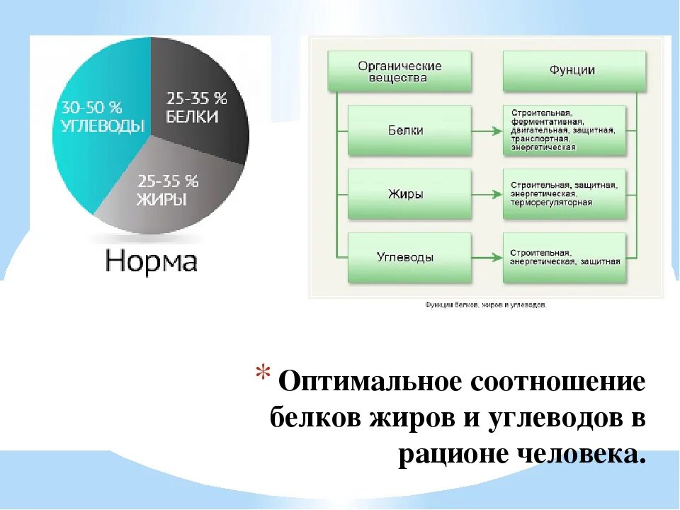 Соотношение белков жиров и углеводов в рационе. Соотношение белков жиров и углеводов в рационе людей. Оптимальное соотношение белки жиры углеводы. Оптимальное соотношение белков жиров и углеводов в суточном рационе.