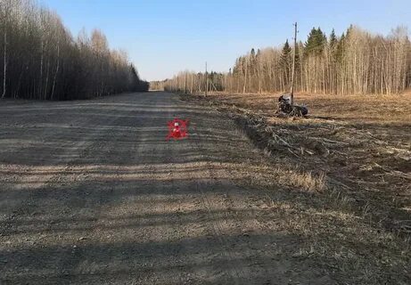 Гисметео усть бакчар