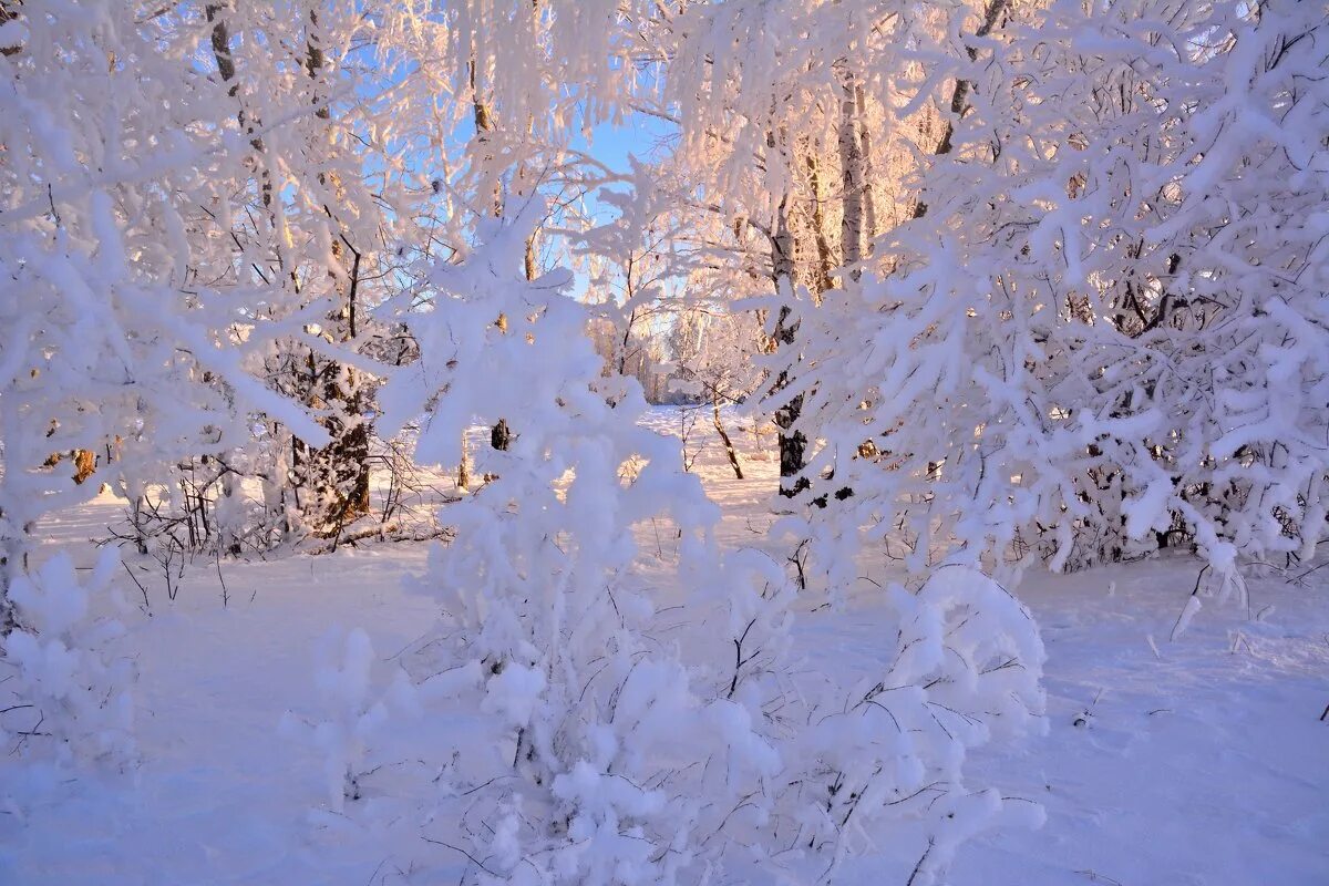 Снег бывает кружится