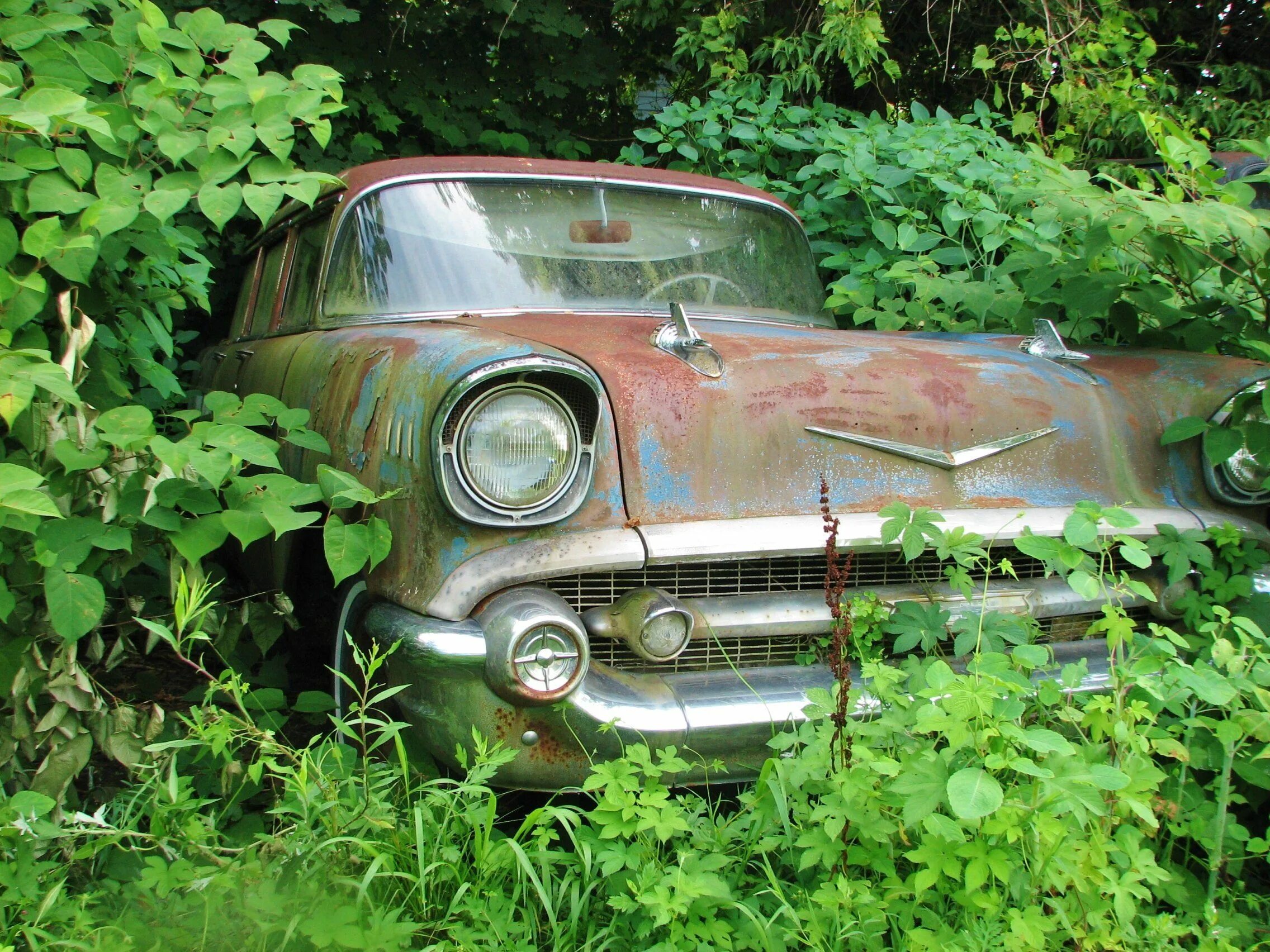 Шевроле 1957 заброшенная. Rusty Chevrolet. Старые заброшенные машины. Ржавые ретро автомобили.