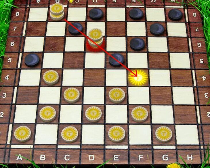 Какие игры можно игра с шашками