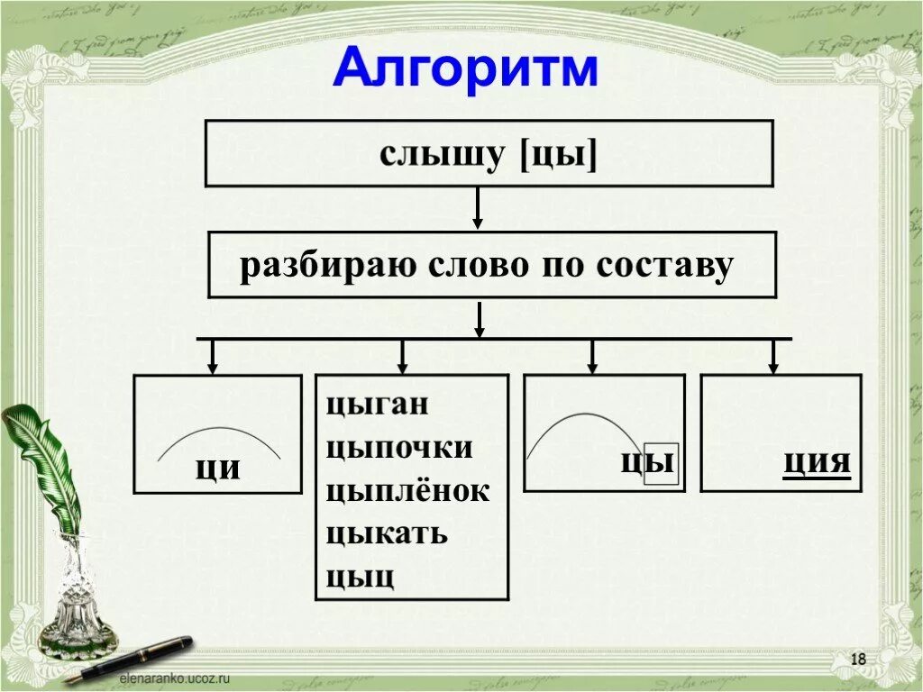 Нуклеотиды гуанин аденин тимин урацил. Витамин с аскорбиновая кислота формула. Строение нуклеотидов днк таблица. Обозначение звука ы после звука ц. Состав ц.