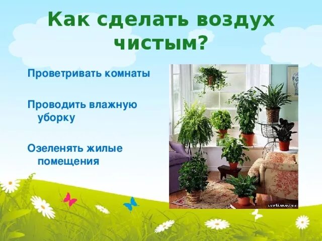 Как сделать воздух чистым. Что делает воздух чистым. Как сделать воздух чище. Воздух стал чище. Что можно делать в чистый