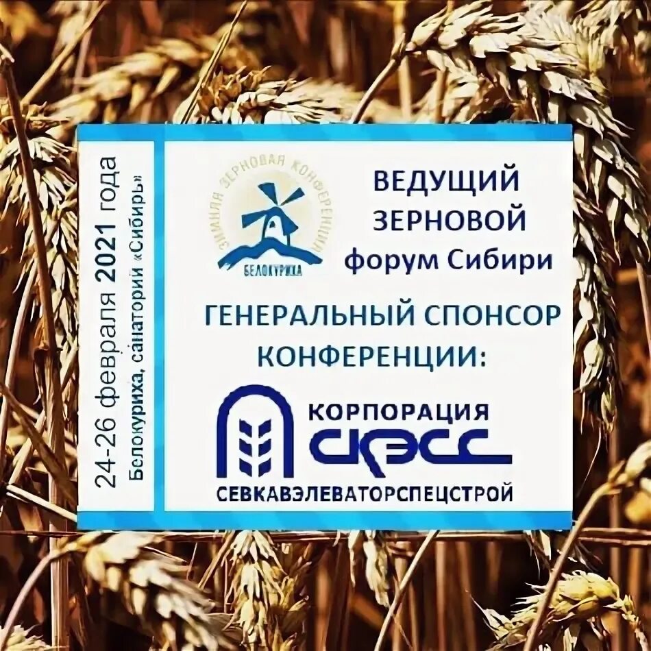 Заморозки пшеницы. Союз зернопереработчиков алтая. Зерновая конференция в белокурихе 2023. Белокуриха в феврале. Ооо "конференция" логотип.