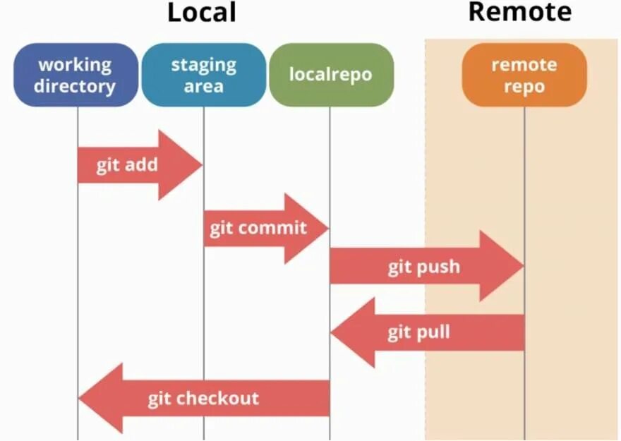 Git scripts. Картинка git. Состояния файлов в git. Базовые команды git. Основные команды git Bash.