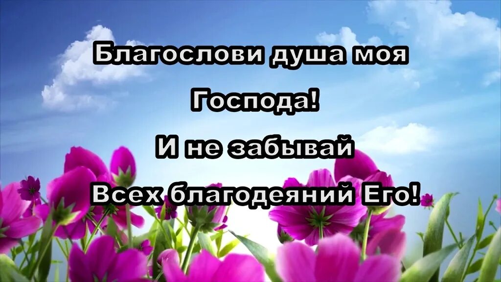 Благослови душа моя Господа. Благослови душа моя ,Господь. Благослови душа моя Господа и не забывай всех благодеяний его. Благослови душе моя Господа открытка.