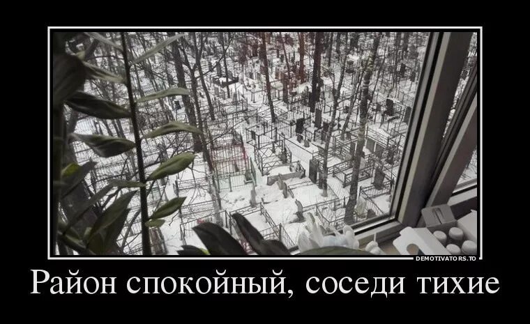 Район спокойный соседи тихие. Демотиваторы про соседей. Соседи тихие прикол. Демотиватор квартира.