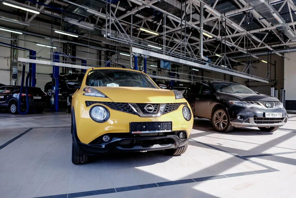 Нижегородец автосалон Нижний Новгород Ниссан надежды Сусловой. Nissan Нижегородец. Автосалон Ниссан Нижегородец. Датсун Нижегородец. Ниссан нижний новгород купить бу