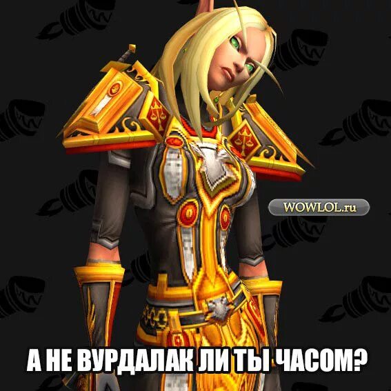 мем паладин варкрафт. приколы про паладина.