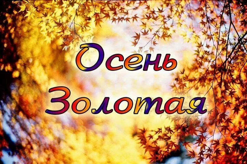 Делу время потехе час Эльмира Довлатова Система личностной трансформации Дзен